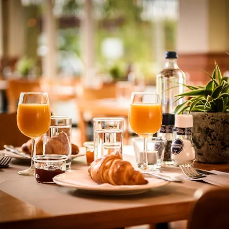 酒店 阿姆斯特丹南荷兰奥斯特钟楼酒店及餐厅 3*